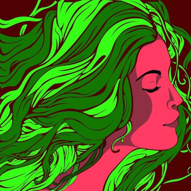 Cover image for Sonhos de Dezembro