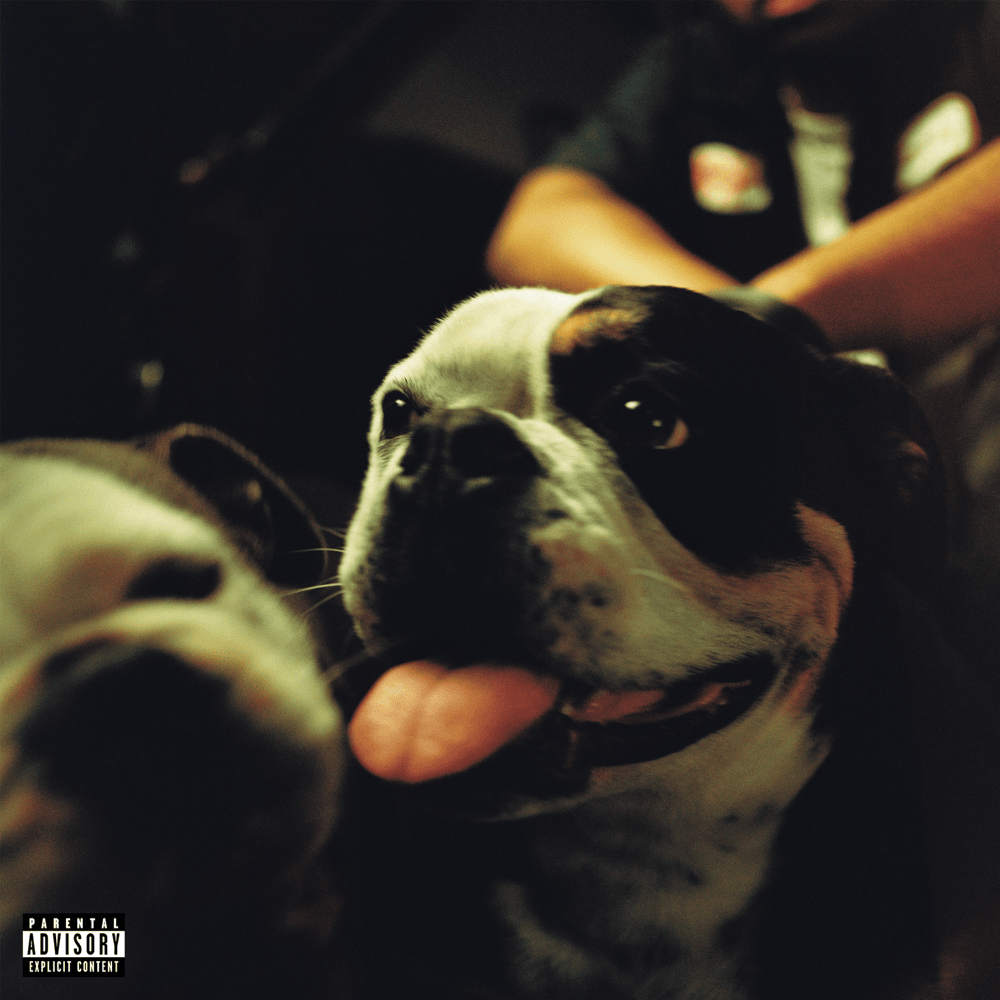 Cover image for BULLDAWG
