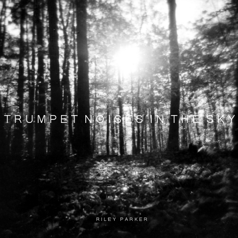 Suppressed Cities by Riley Parker