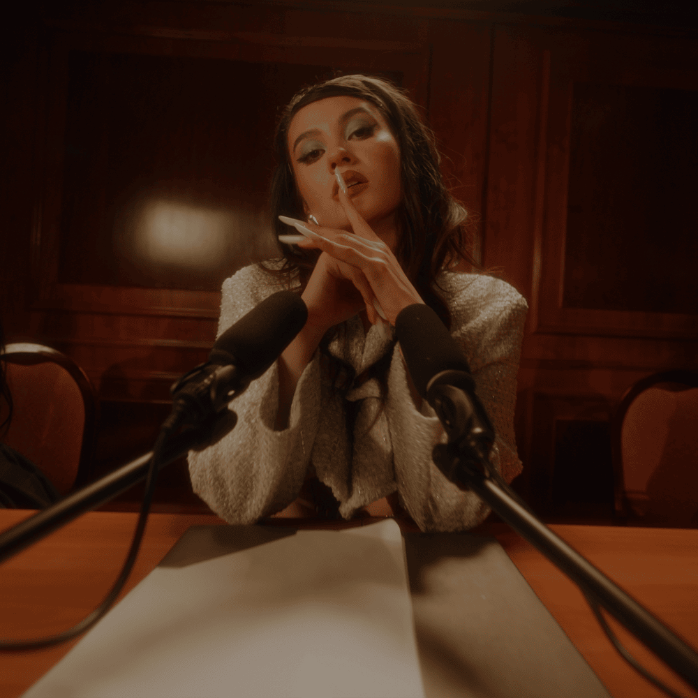 Femei în Parlament by Erika Isac