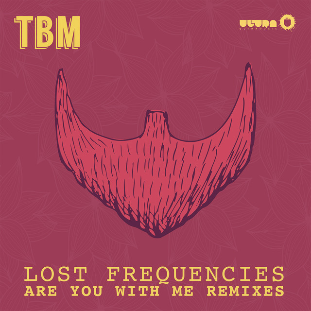 Cover image for Are You With Me (Remixes)