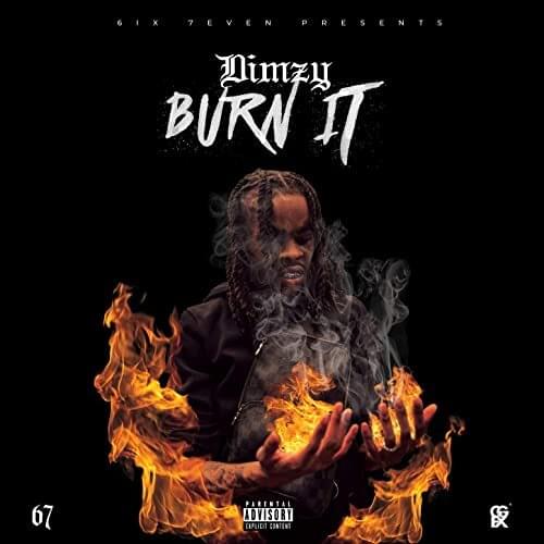 Album cover art for "Burn It" by Dimzy