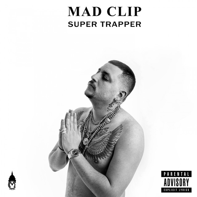 Cover image for Super Trapper