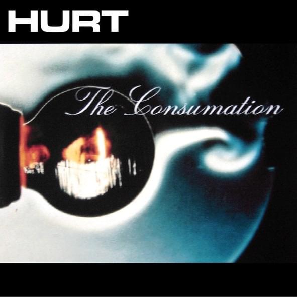 Cover image for The Consumation