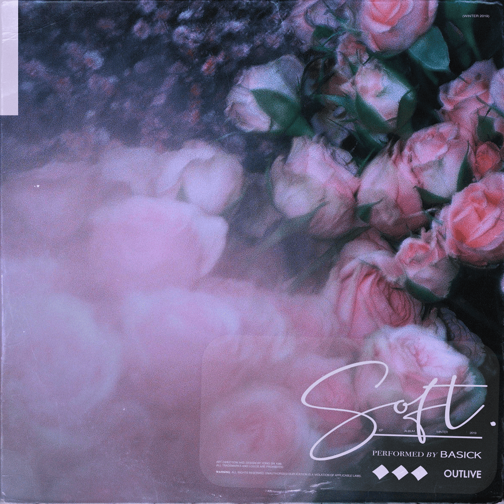 Cover image for SOFT