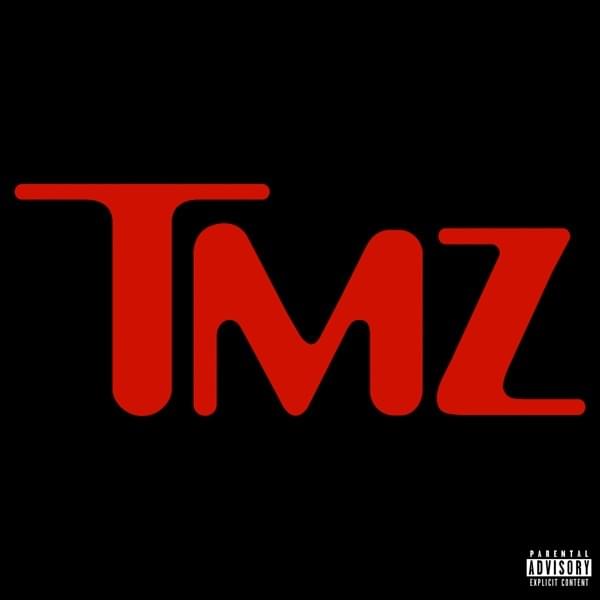 Album cover art for "Paparazzi" by Bokoesam
