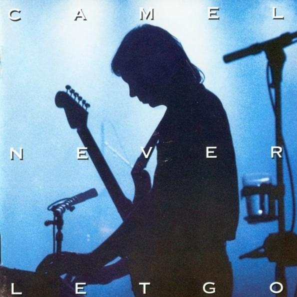 Cover image for Never Let Go