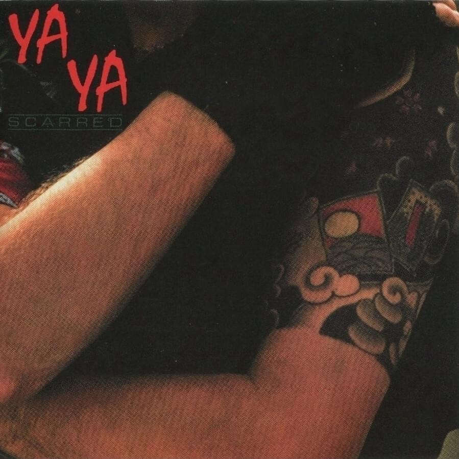 Cover image for Scarred