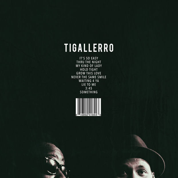 Cover image for Tigallerro