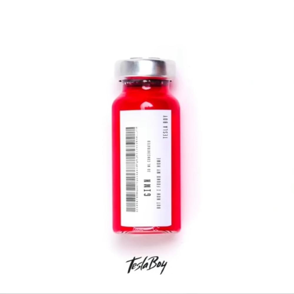 Album cover art for "Gimn" by Tesla Boy