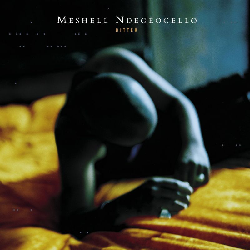 Beautiful by Meshell Ndegéocello