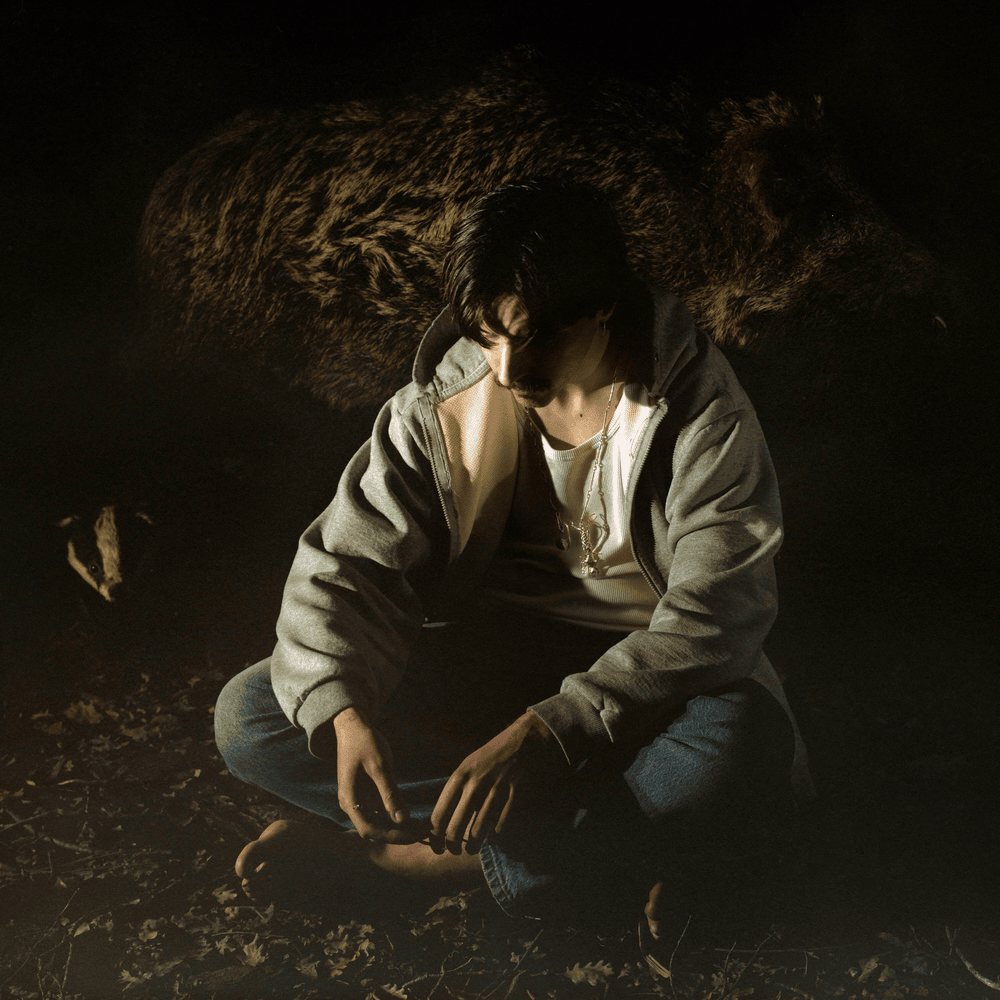 Cover image for BERCAIL