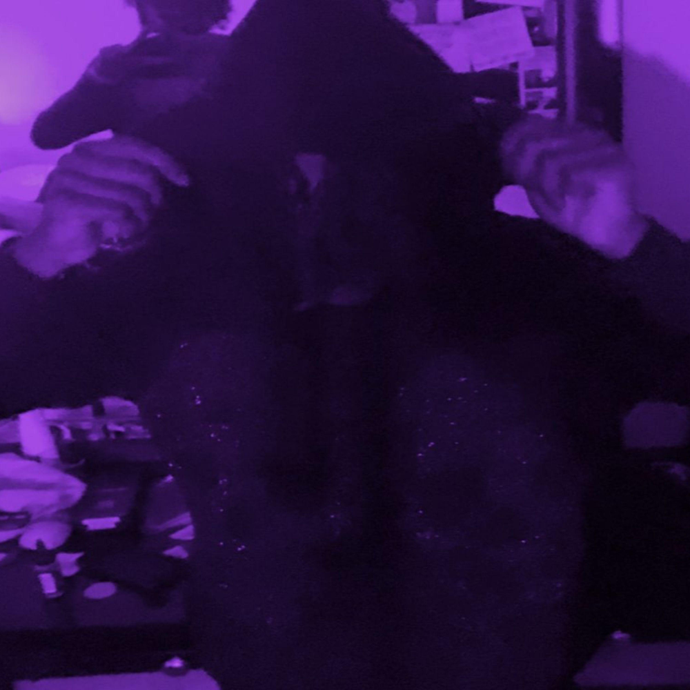 Album cover art for "4seasons" by Destroy Lonely