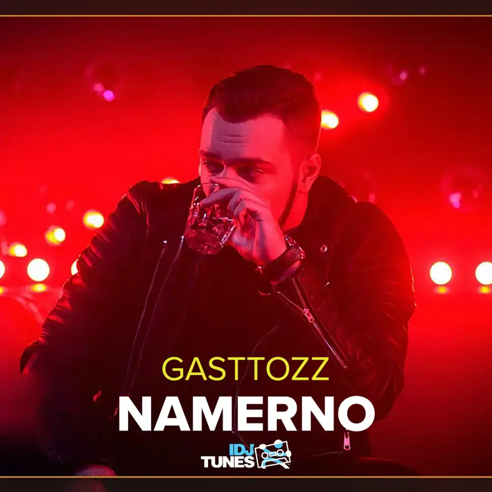 Album cover art for "Namerno" by Gasttozz