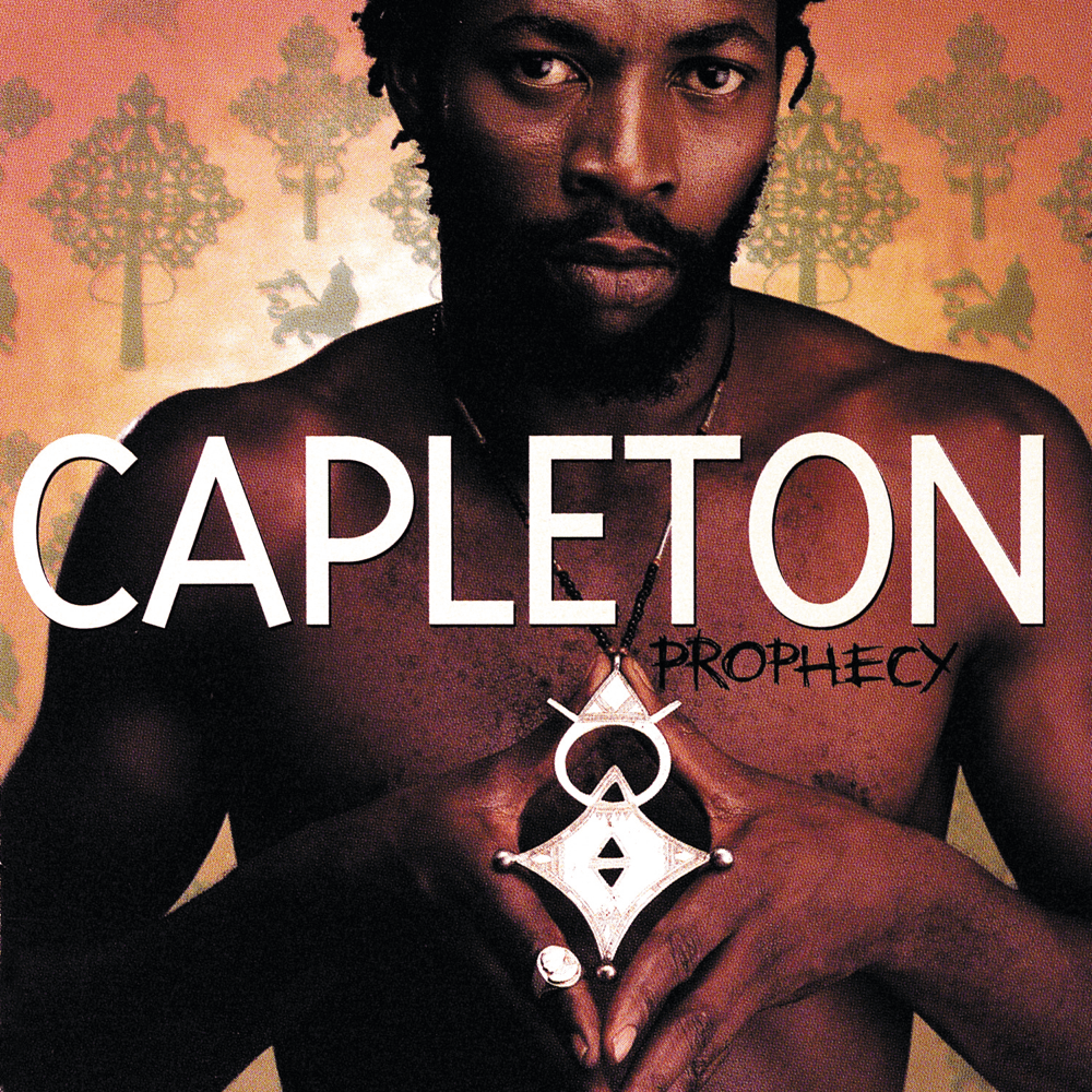 Album cover art for "Tour (Lil Jon & Paul’s Mix)" by Capleton