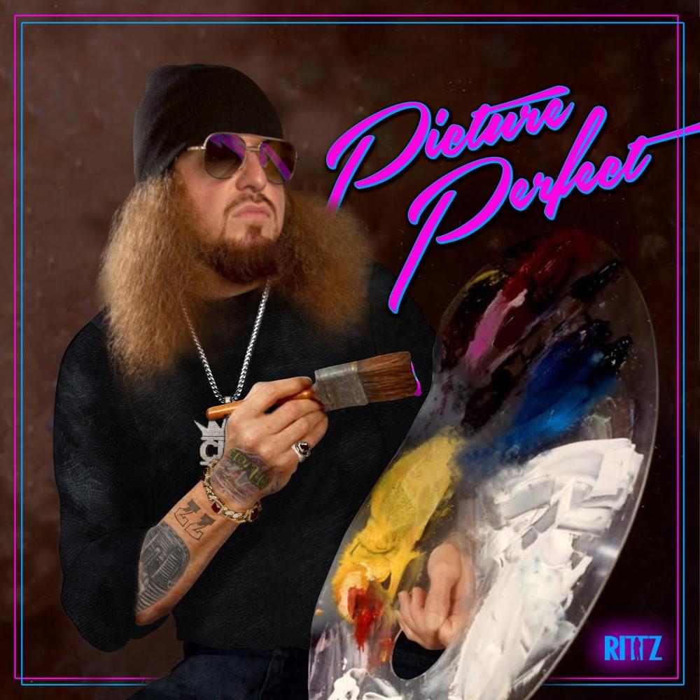 Cover image for Picture Perfect