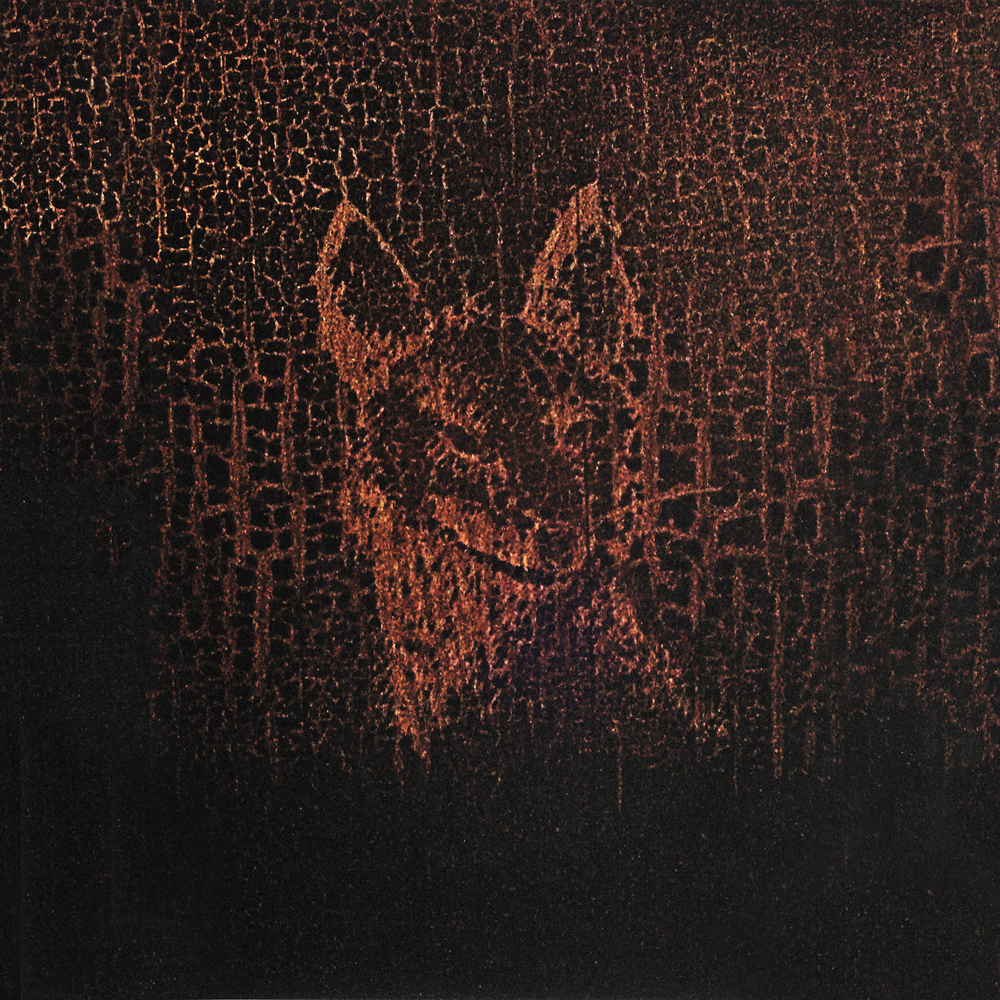Album cover art for "Fall Creek Boys Choir" by James Blake & Bon Iver