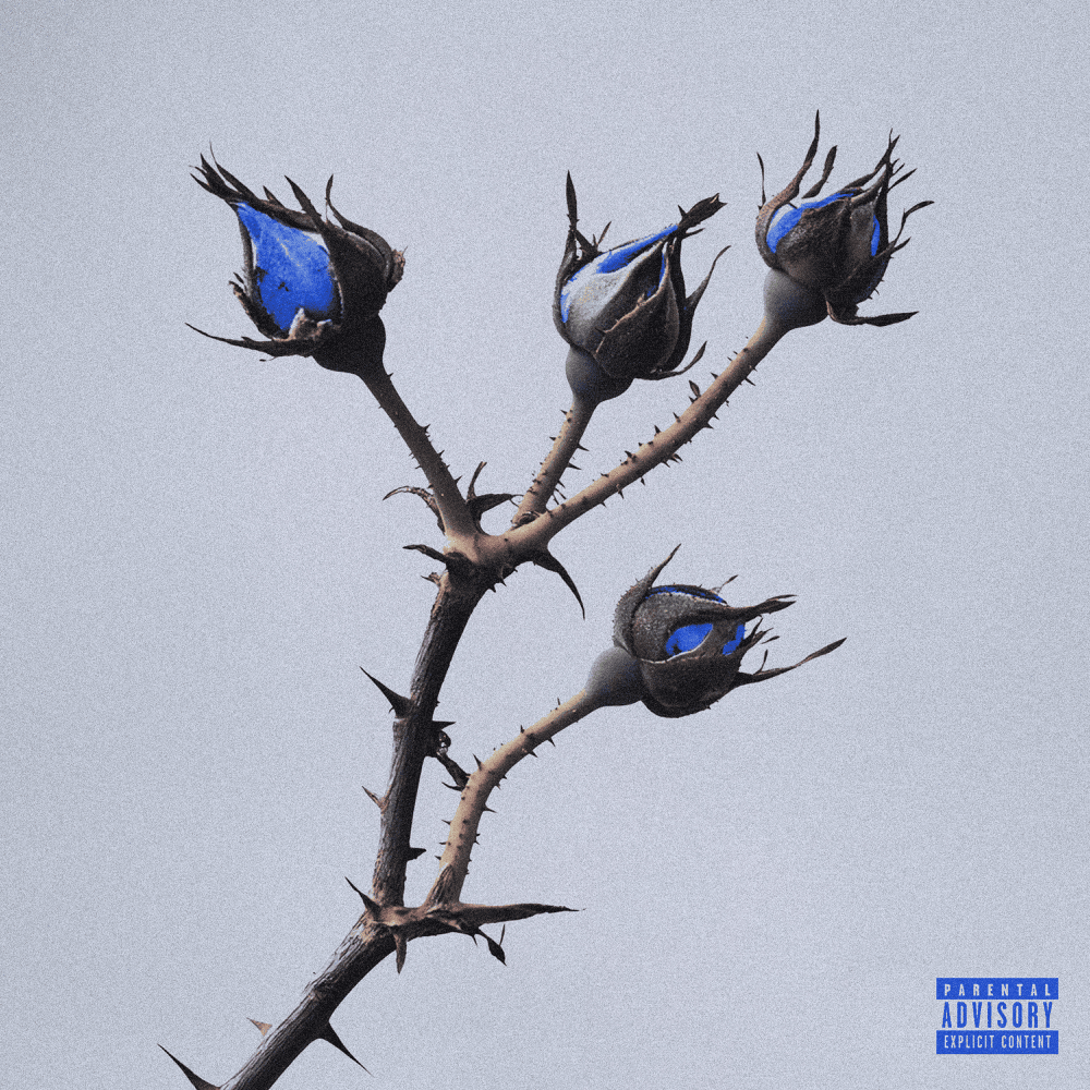 Album cover art for "Petali (Osama 3)" by Melons