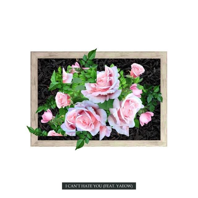 Cover image for I Can’t Hate You