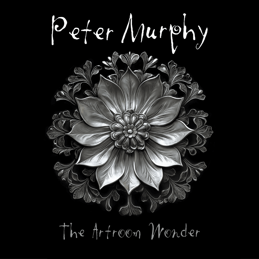 The Artroom Wonder by Peter Murphy