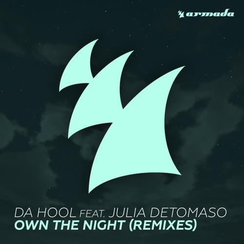 Own The Night (Cyborgs and Da Hool Remix) by Da Hool (Producer)