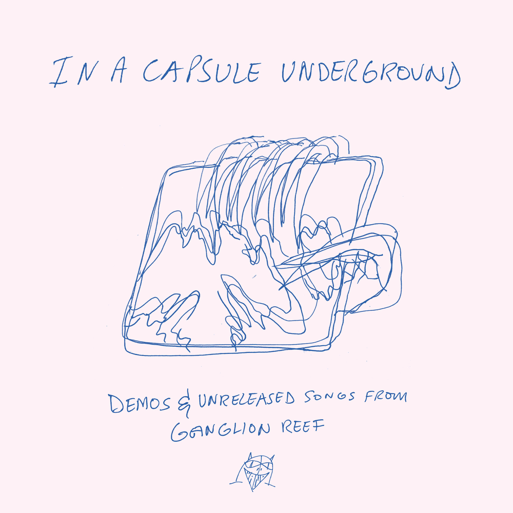 Cover image for In a Capsule Underground