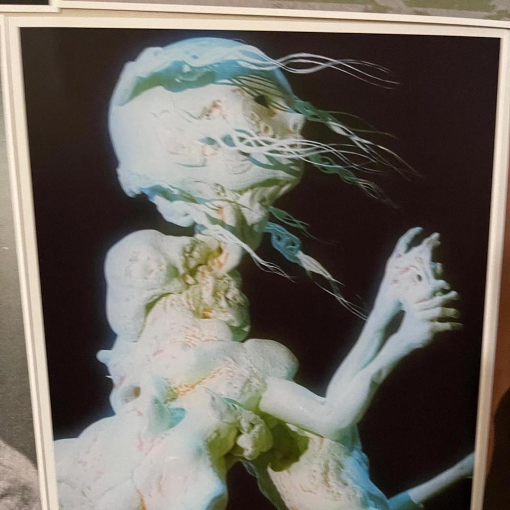 Album cover art for "IM A STAR" by Cooliecut