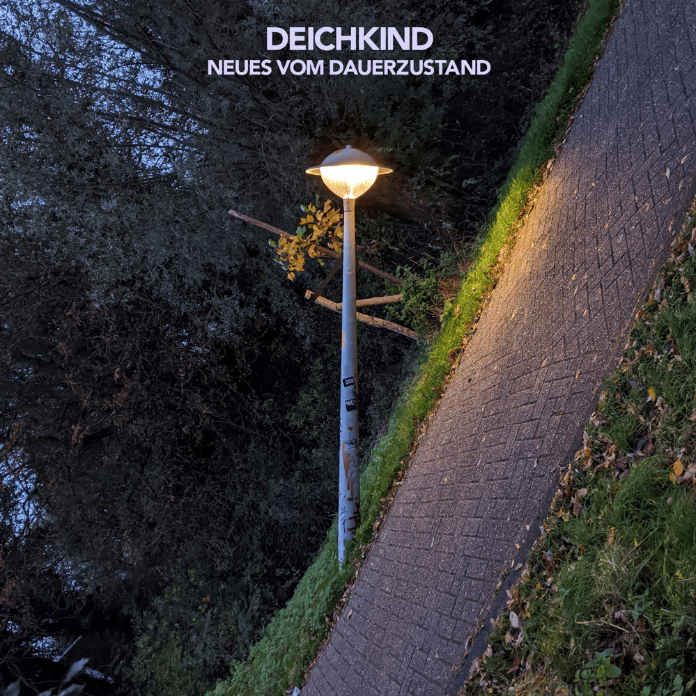 Cover image for Neues Vom Dauerzustand