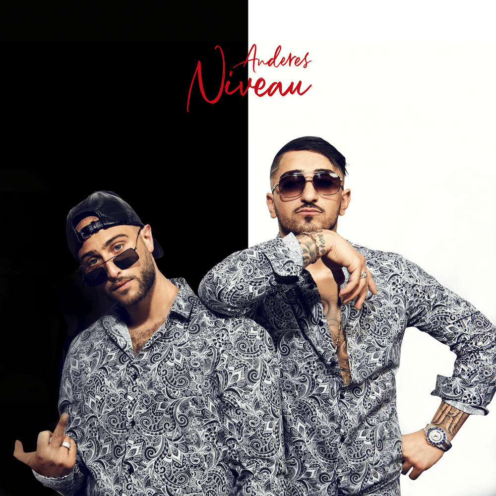Album cover art for "Anderes Niveau" by Nimo