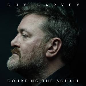 Electricity by Guy Garvey