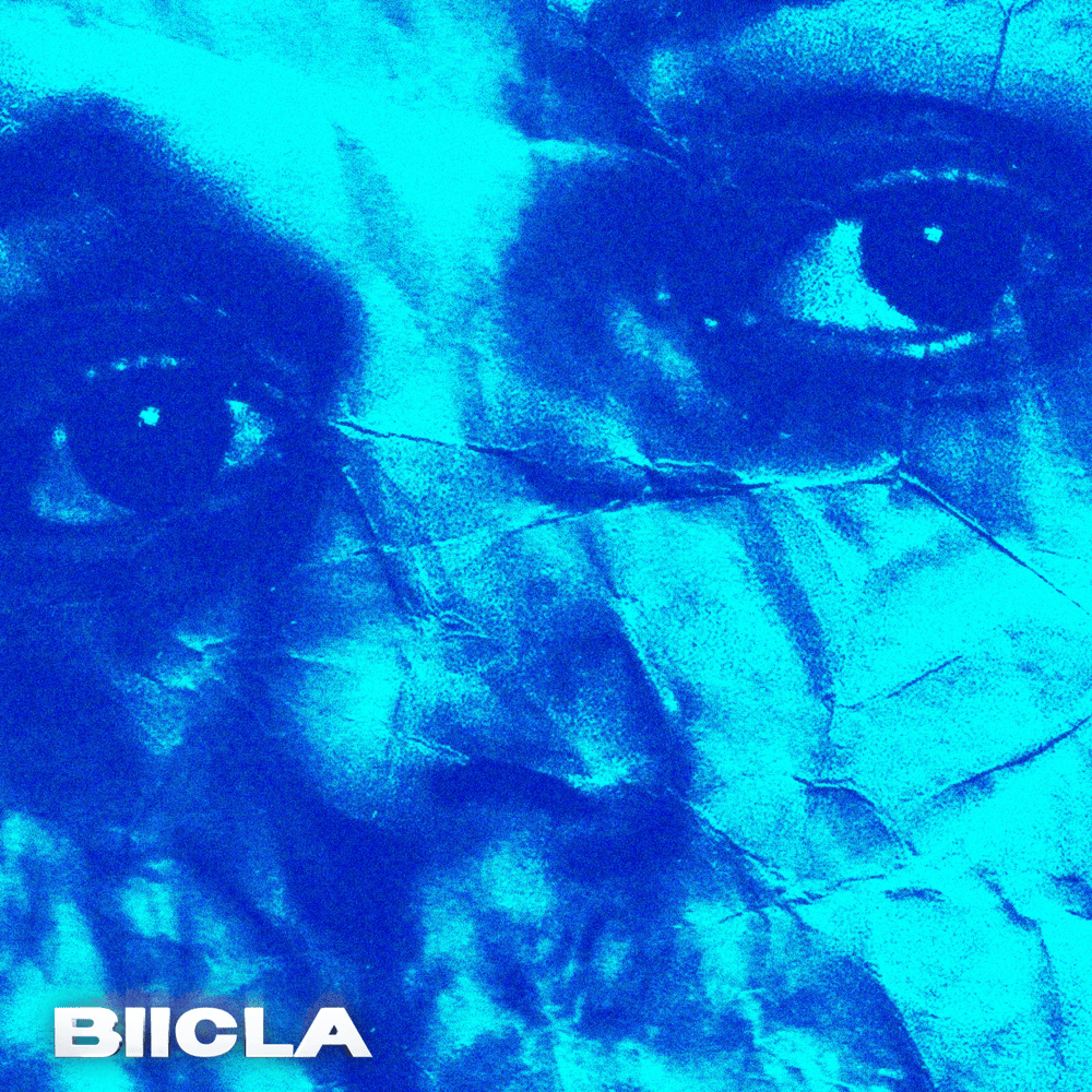 Cover image for No Place (Deluxe Edition)
