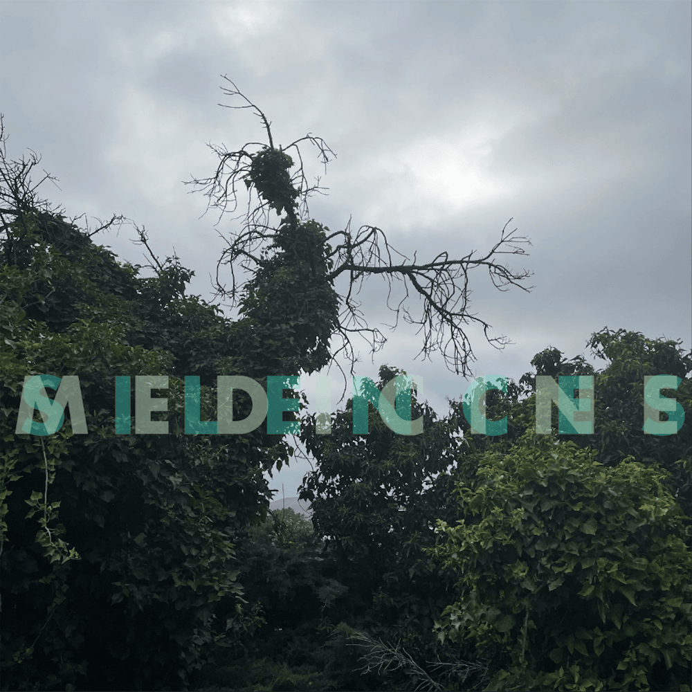 Looking for Silence by Medicine