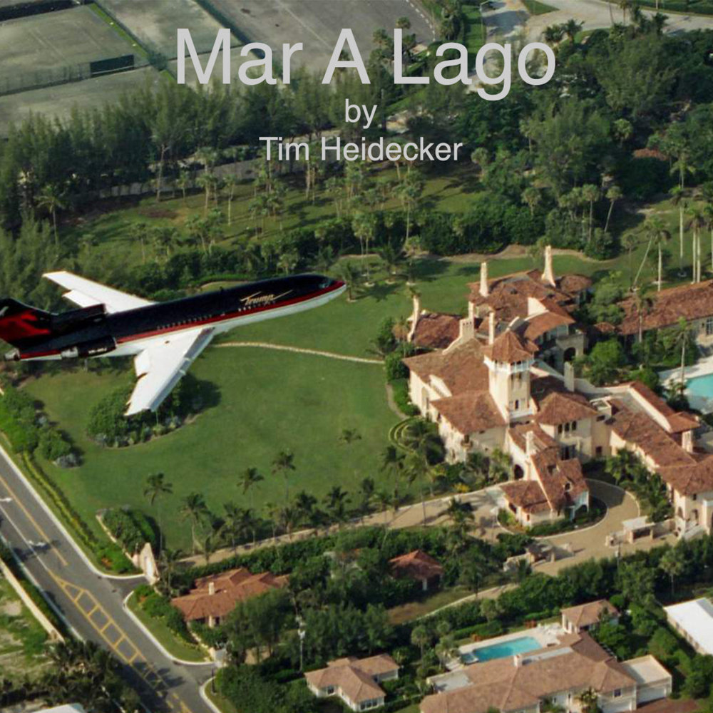 Album cover art for "Mar A Lago" by Tim Heidecker
