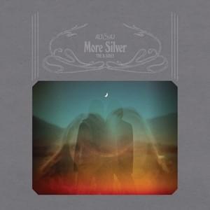 Cover image for More Silver