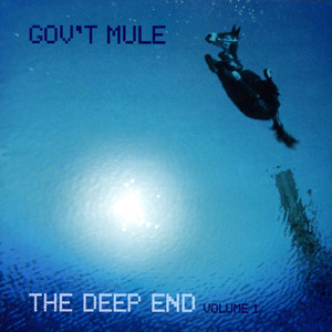 Beautifully Broken by Gov’t Mule