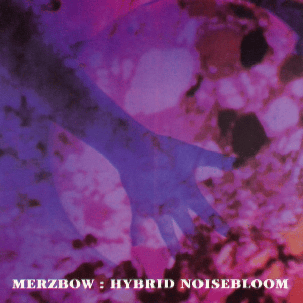 Cover image for Hybrid Noisebloom