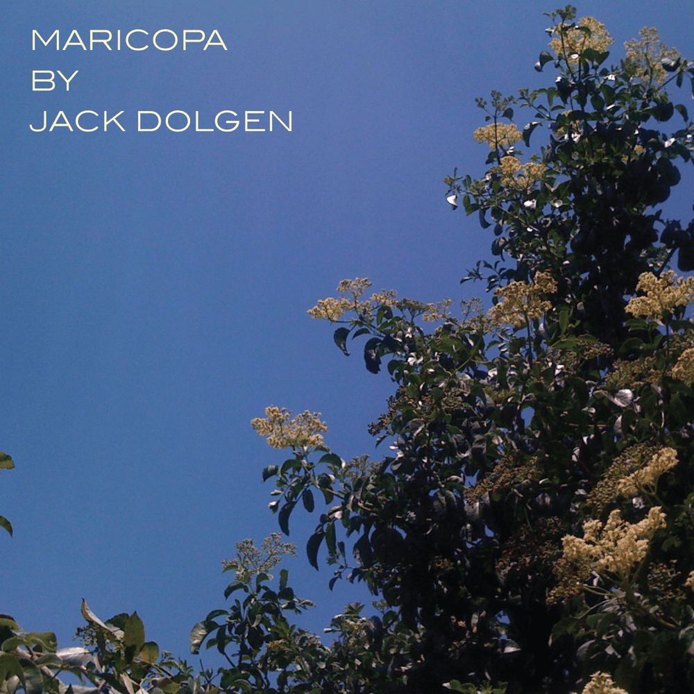 Cover image for Maricopa