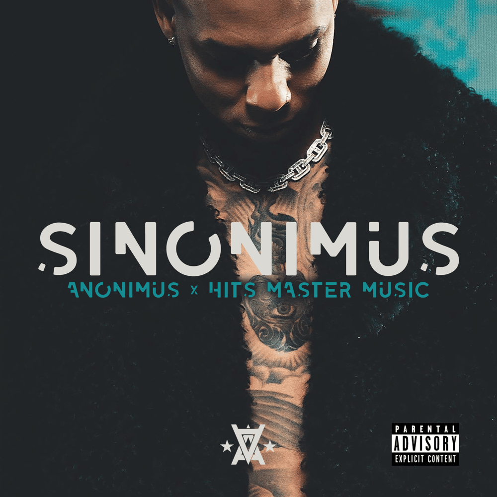 Cover image for Sinonimus