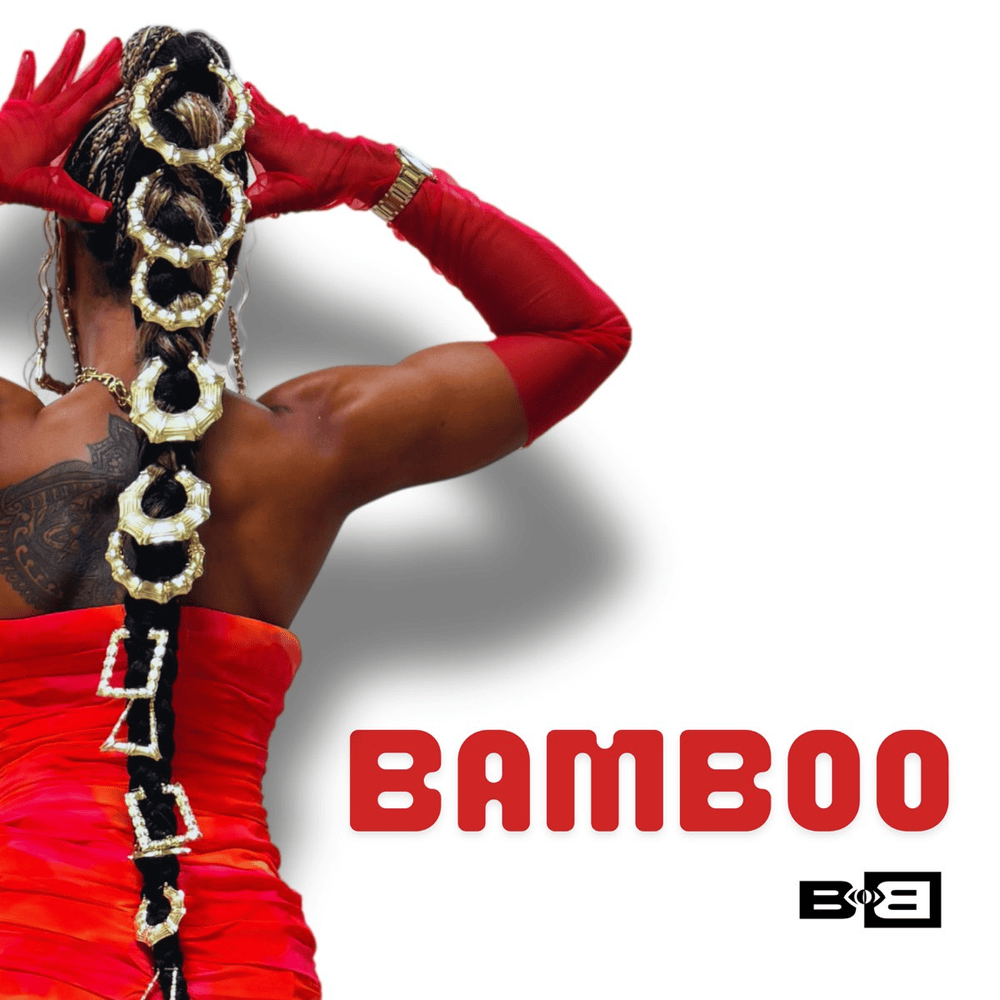 Album cover art for "Bamboo" by B.o.B