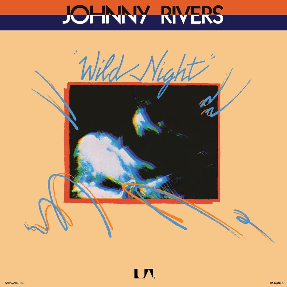 Cover image for Wild Night