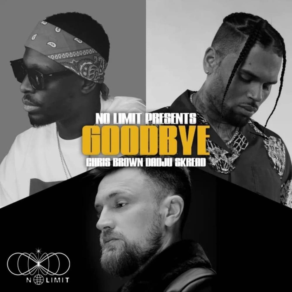 Goodbye by Skread
