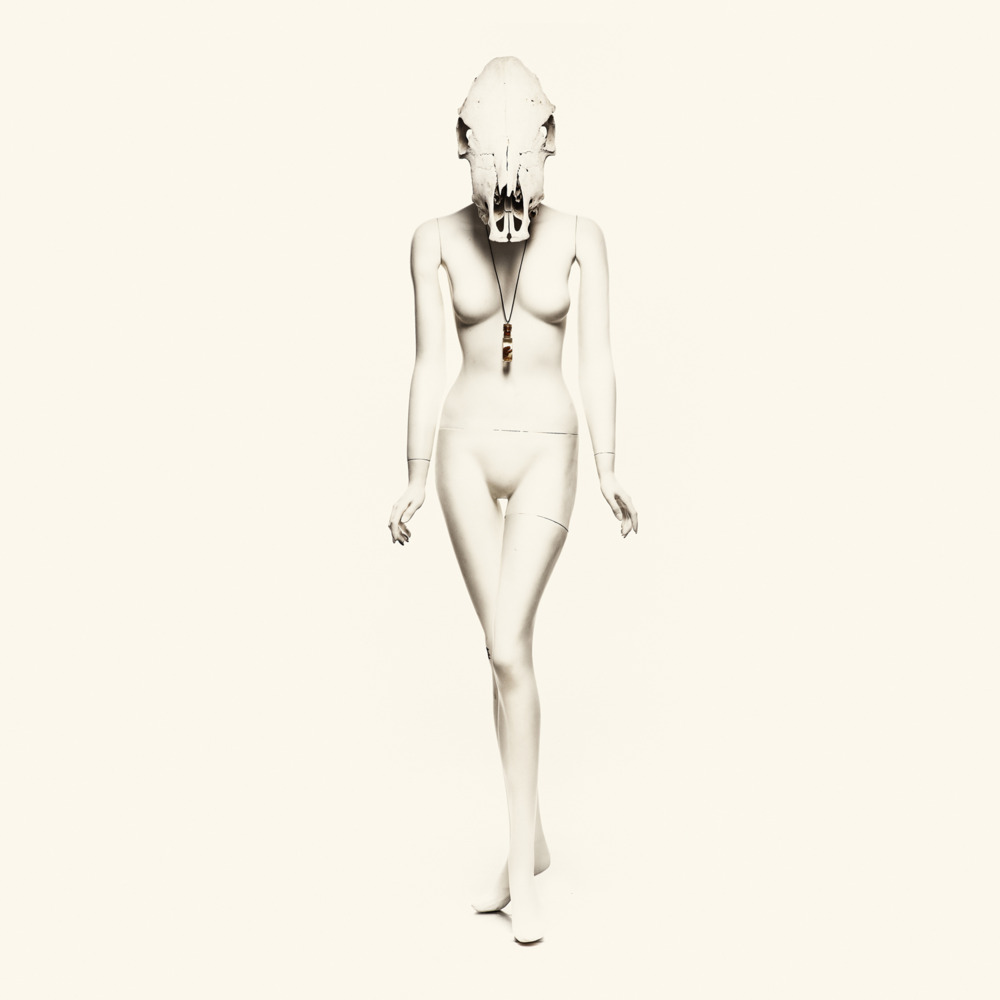 Voices by Matt Skiba and the Sekrets