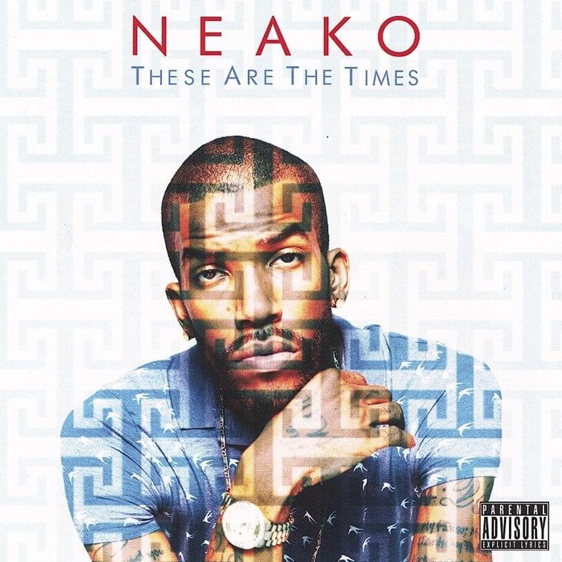 Cover image for These Are the Times