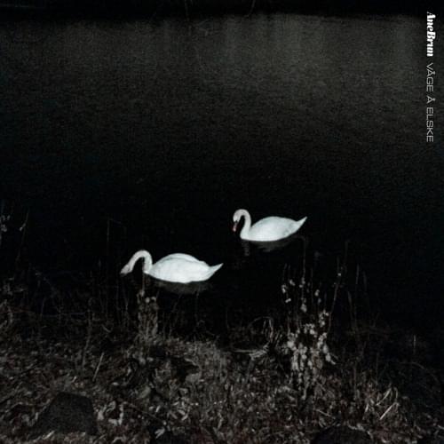 Album cover art for "Våge Å Elske" by Ane Brun