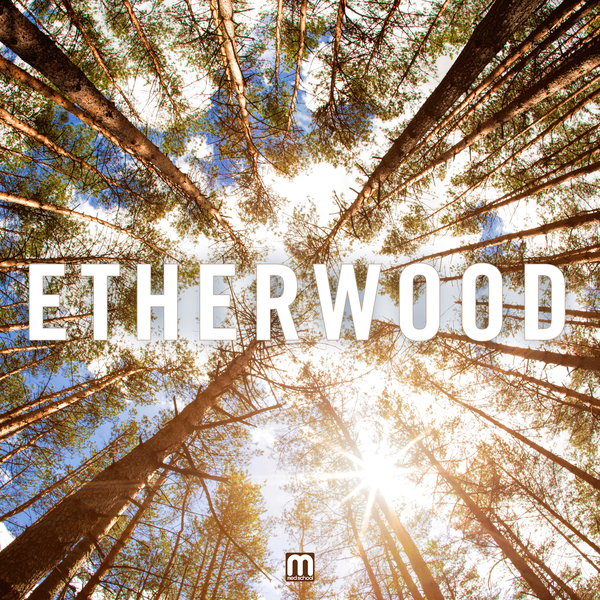 Album cover art for "Spoken" by Etherwood & Rocky Nti