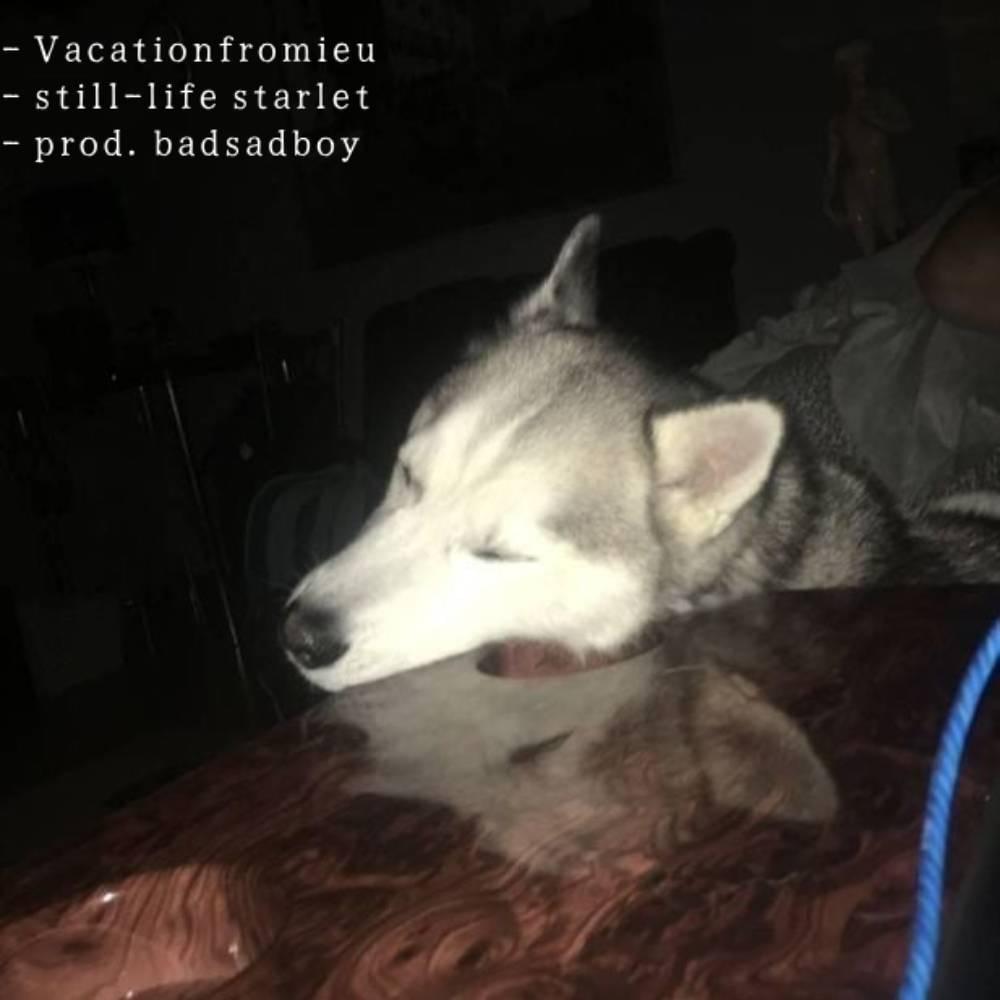 Album cover art for "Vacationfromieu" by ghostholding