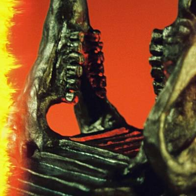 Album cover art for "Organ Farmer" by King Gizzard & The Lizard Wizard