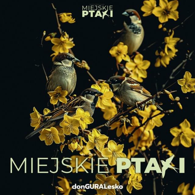 Album cover art for "MIEJSKIE PTAKI" by donGURALesko