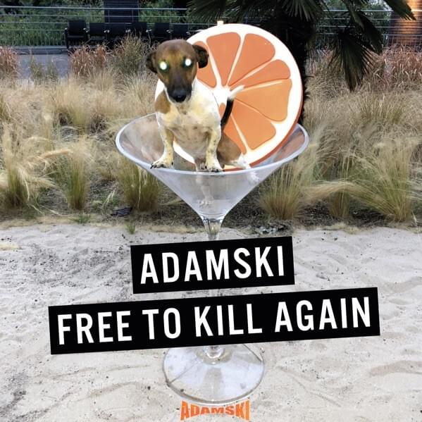 Killer (feat. Hannah Jane) by Adamski