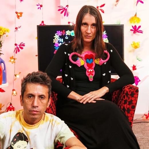 Aterciopelados Profile Picture Photo of Aterciopelados